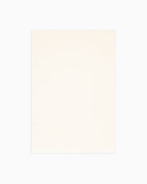 Scarf with Fringed Edges