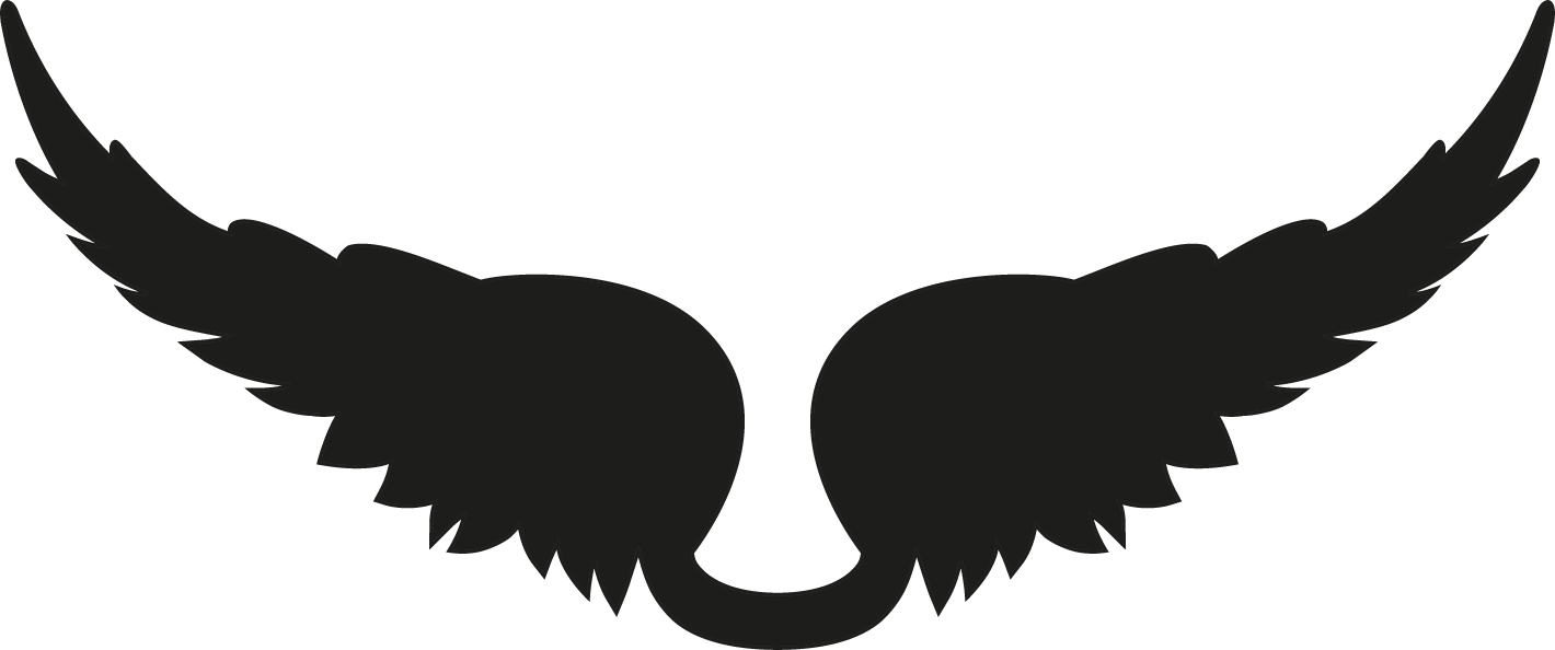 Silhouette of outstretched black wings, central gap forming a V shape